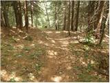 Globasnica / Globasnitz - Veška planina / Wackendorfer Alm